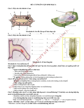 Đề cương ôn tập sinh học 6